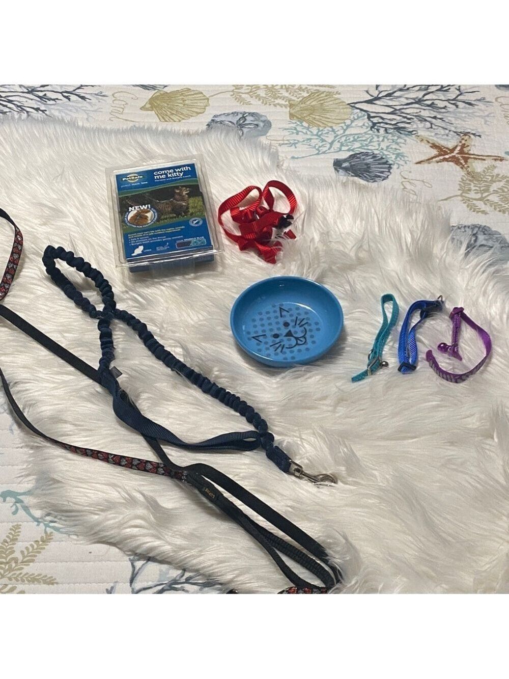 New cat owners?!?!PetSafe Sparkle Blue Cat Harness and Leash and collars